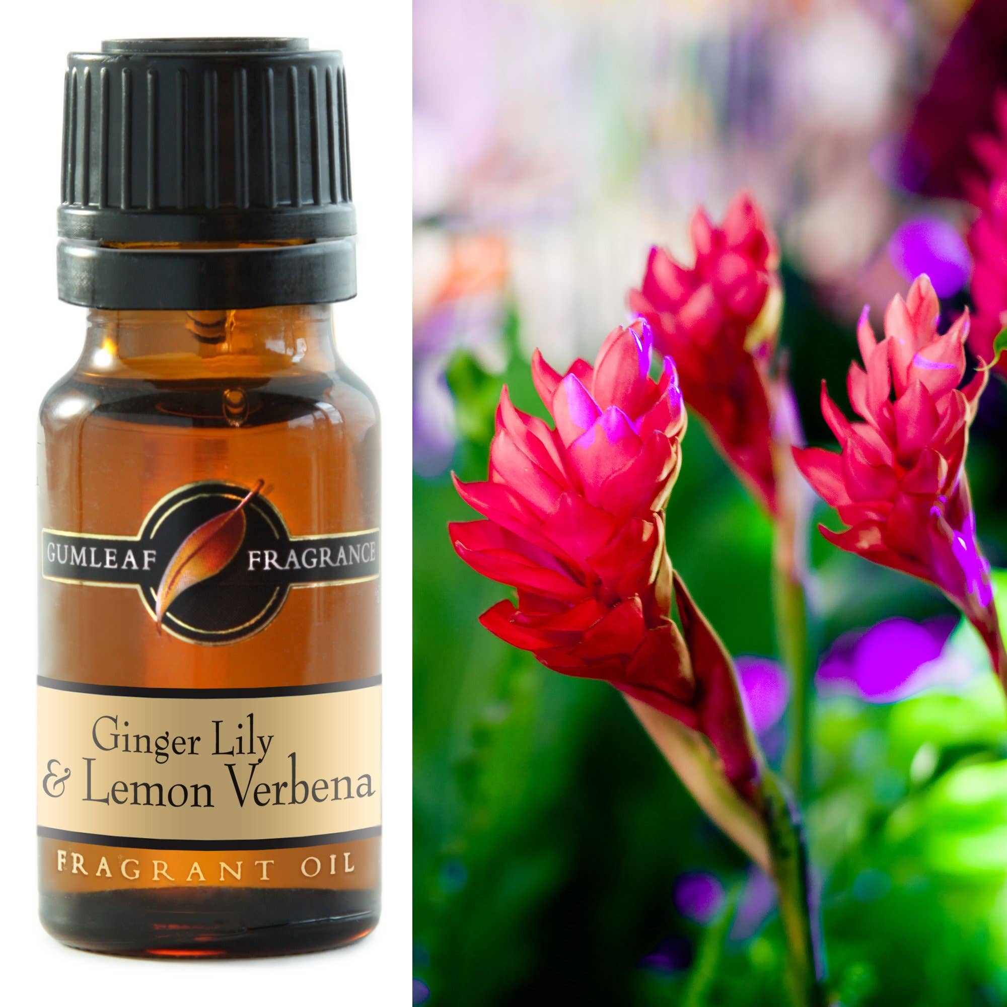 Fragrance Oils
