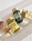 Stray Willow Perfume Discovery Set