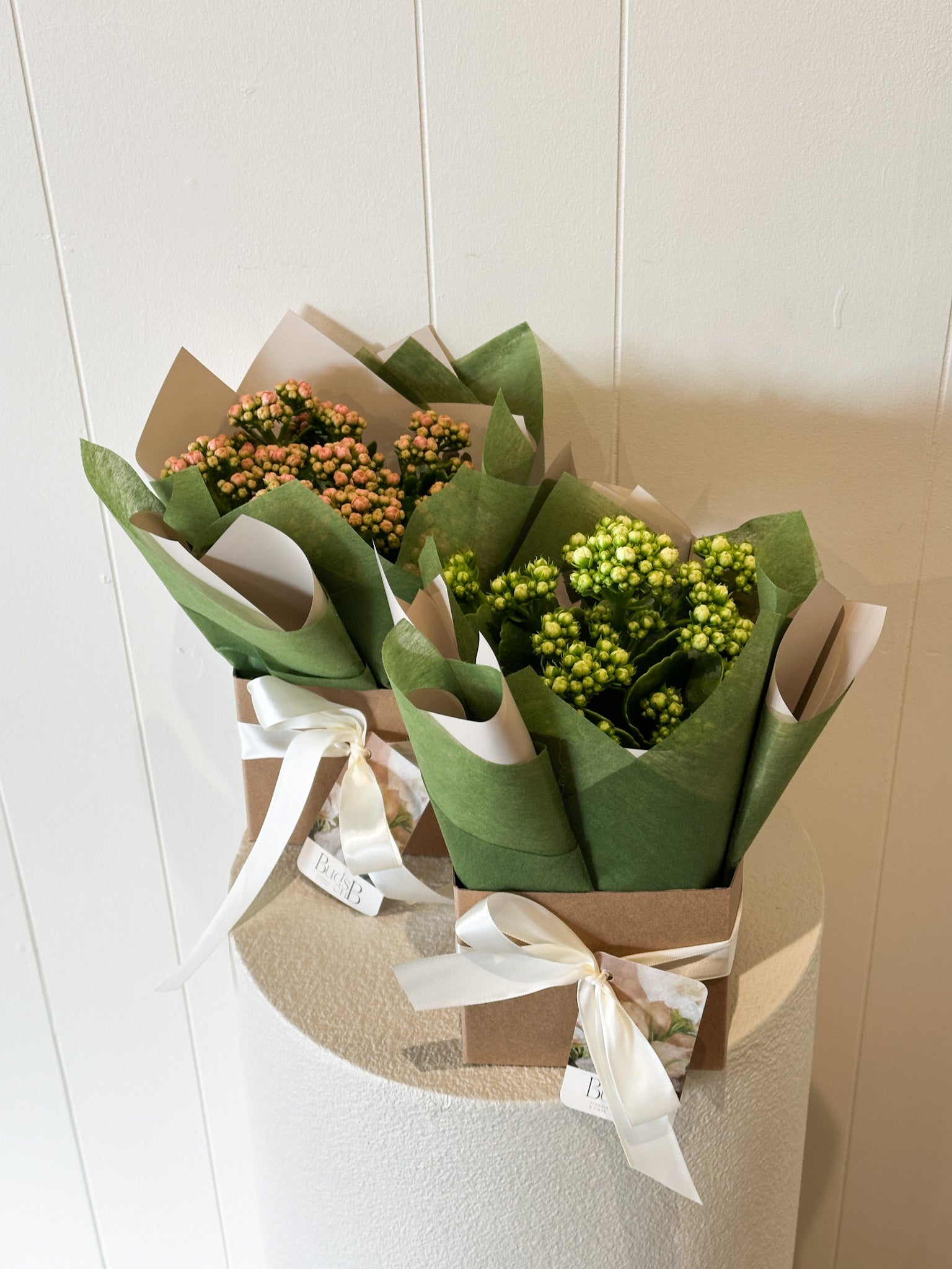 Buds on B, Buderim florist shop, Buderim gift shop, fresh flowers, flower vases, Sunshine Coast florist shop, Sunshine Coast local florist, florist near me, flower delivery, fresh flower delivery, flowers, vases for flowers, florist shop Sunshine Coast, vases, pots, chocolates, gifts, flower posy vase, Woombye florist shop, hinterland florist, Nambour florist, Palmwoods florist, ivy and wood candles and diffusers, Sunshine Coast flower shop, Sunshine Coast Florist, Sunshine Coast Flower delivery