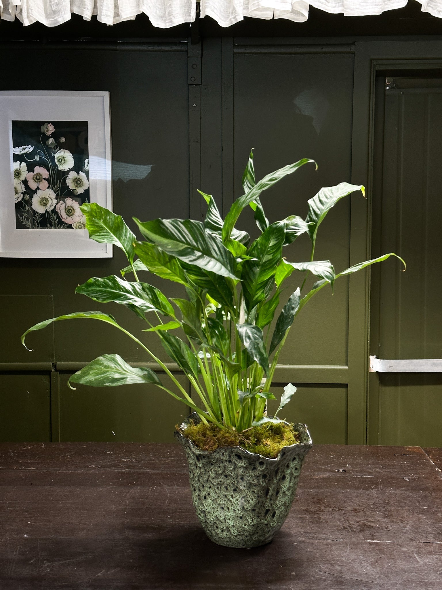 sunshine coast flower shop, sunshine coast florist, florist shop sunshine coast, flower delivery, local florist, buds on b, buds on buderim