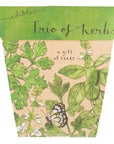 Sow 'n Sow Seed Cards