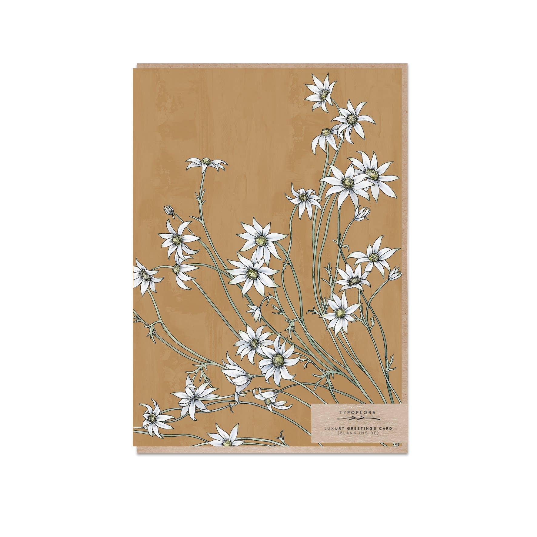 typoflora greeting cards, sunshine coast flower shop, buds on b, flower shop sunshine coast 