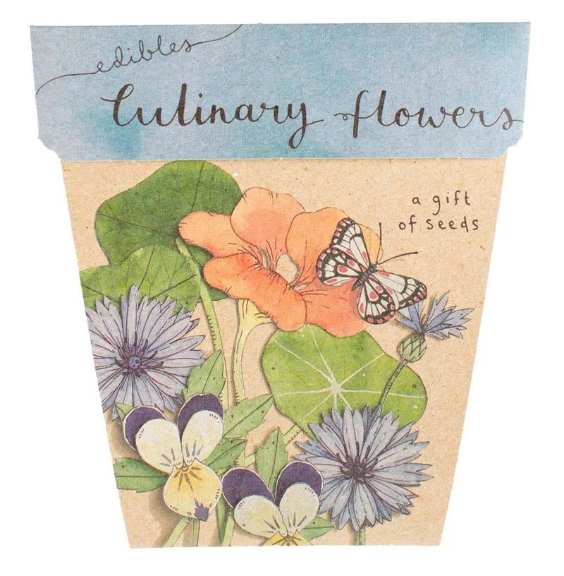 Sow 'n Sow Seed Cards