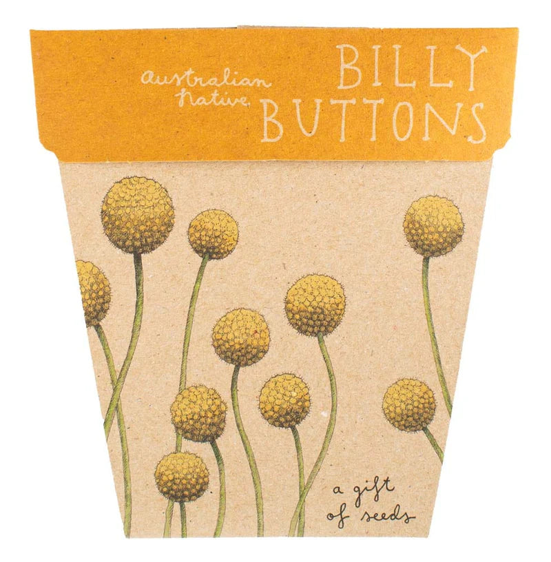 Sow 'n Sow Seed Cards