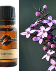 Fragrance Oils