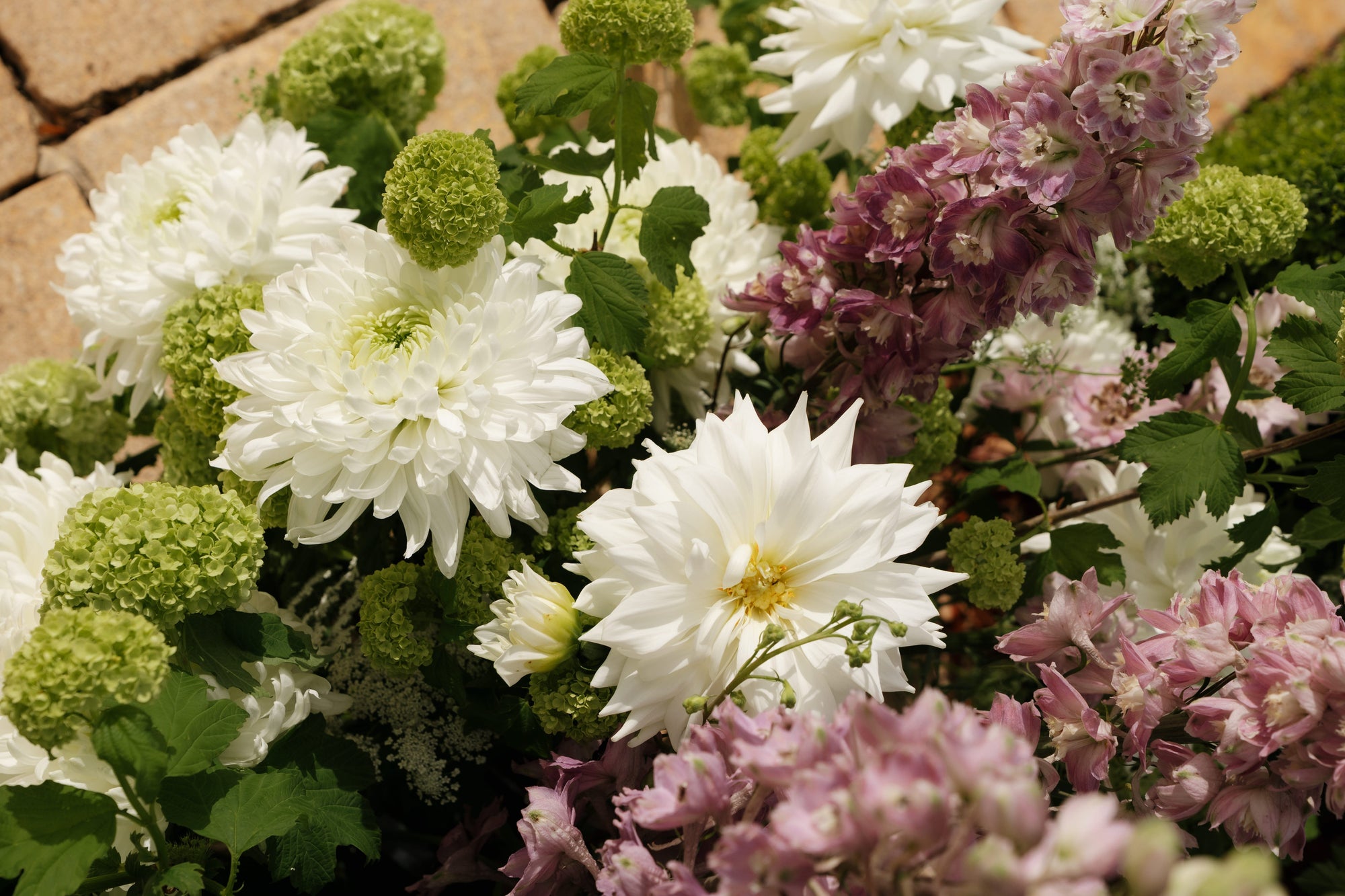 Buds on B, Buderim florist shop, Buderim gift shop, fresh flowers, flower vases, Sunshine Coast florist shop, Sunshine Coast local florist, florist near me, flower delivery, fresh flower delivery, flowers, vases for flowers, florist shop Sunshine Coast, vases, pots, chocolates, gifts, flower posy vase, Woombye florist shop, hinterland florist, Nambour florist, Palmwoods florist,Sunshine Coast flower shop, Sunshine Coast Florist, Sunshine Coast Flower delivery