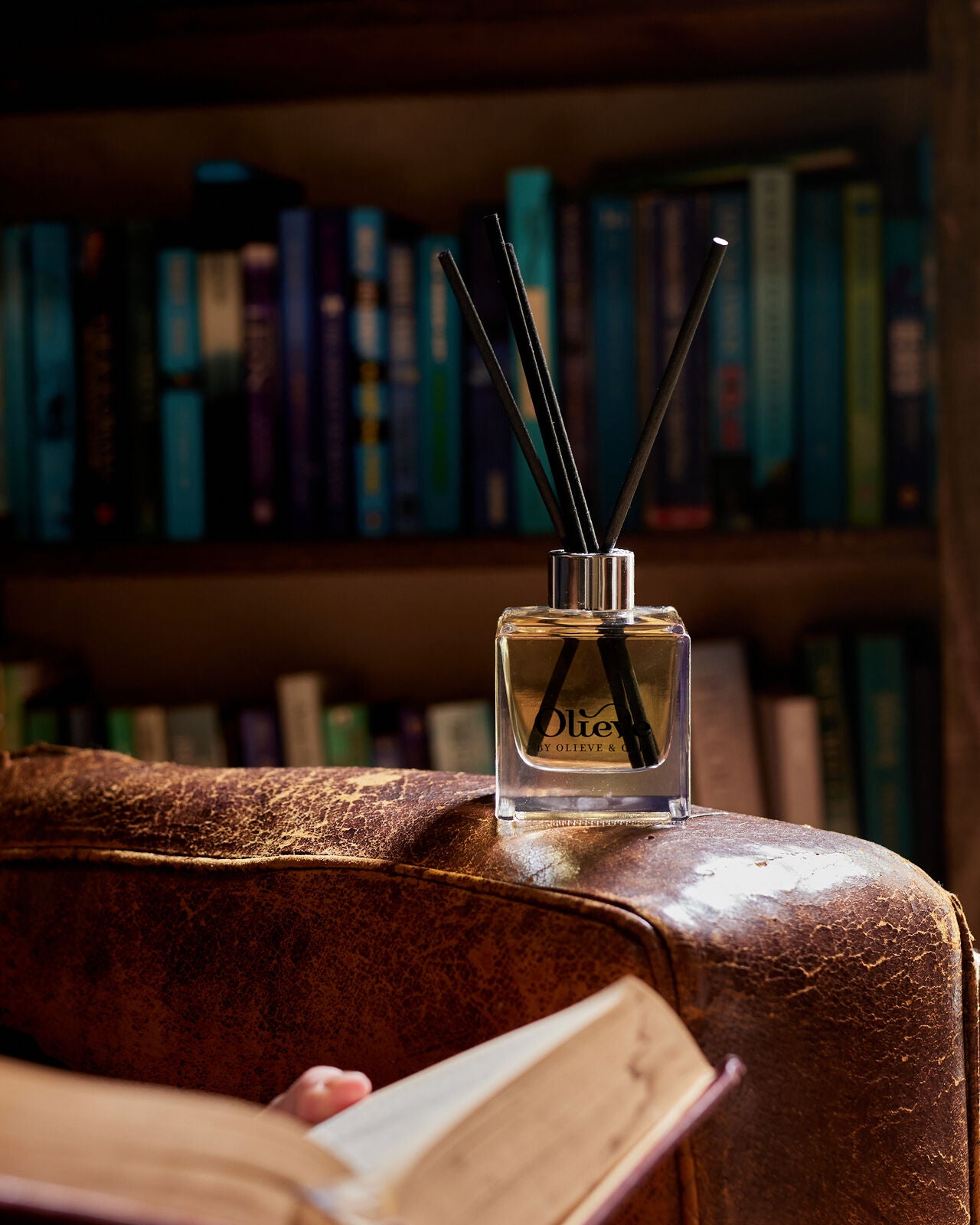 Olieve Diffuser