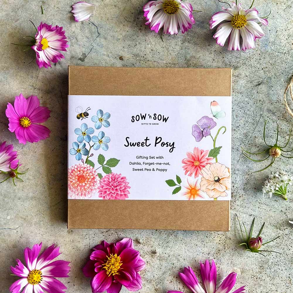 Sweet Posy Gift Set