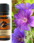 Fragrance Oils