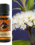 Fragrance Oils
