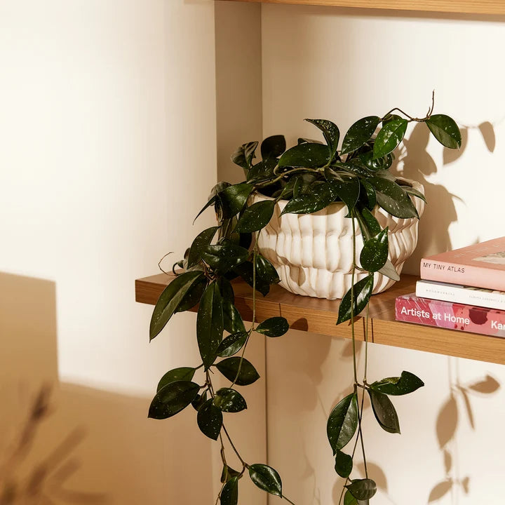 Ribbed White Planter