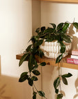 Ribbed White Planter