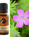 Fragrance Oils