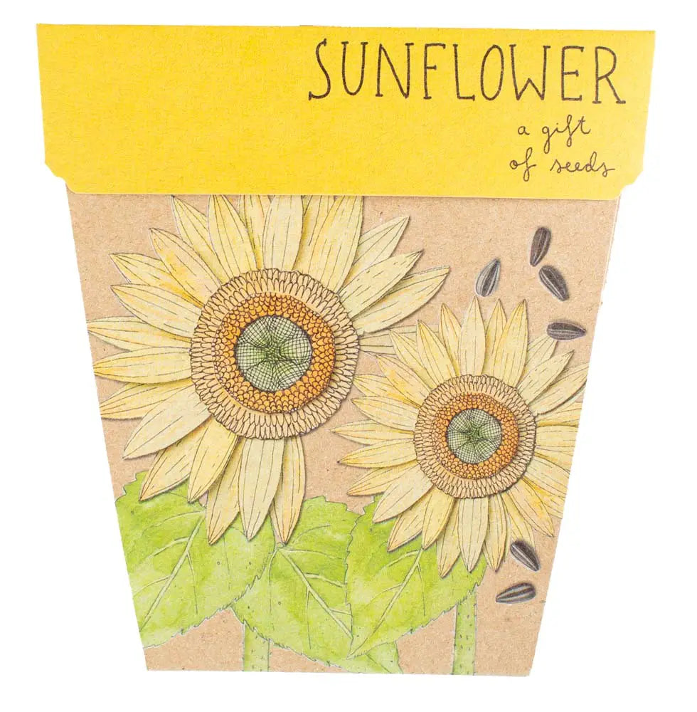 sow and sow, gift of seeds, card seeds, maleny card seeds, sunshine coast gift shop, sunshine coast flower shop, flower delivery, flowers and gift