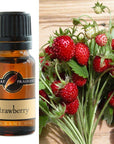 Fragrance Oils