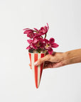 Folly Wall Vase