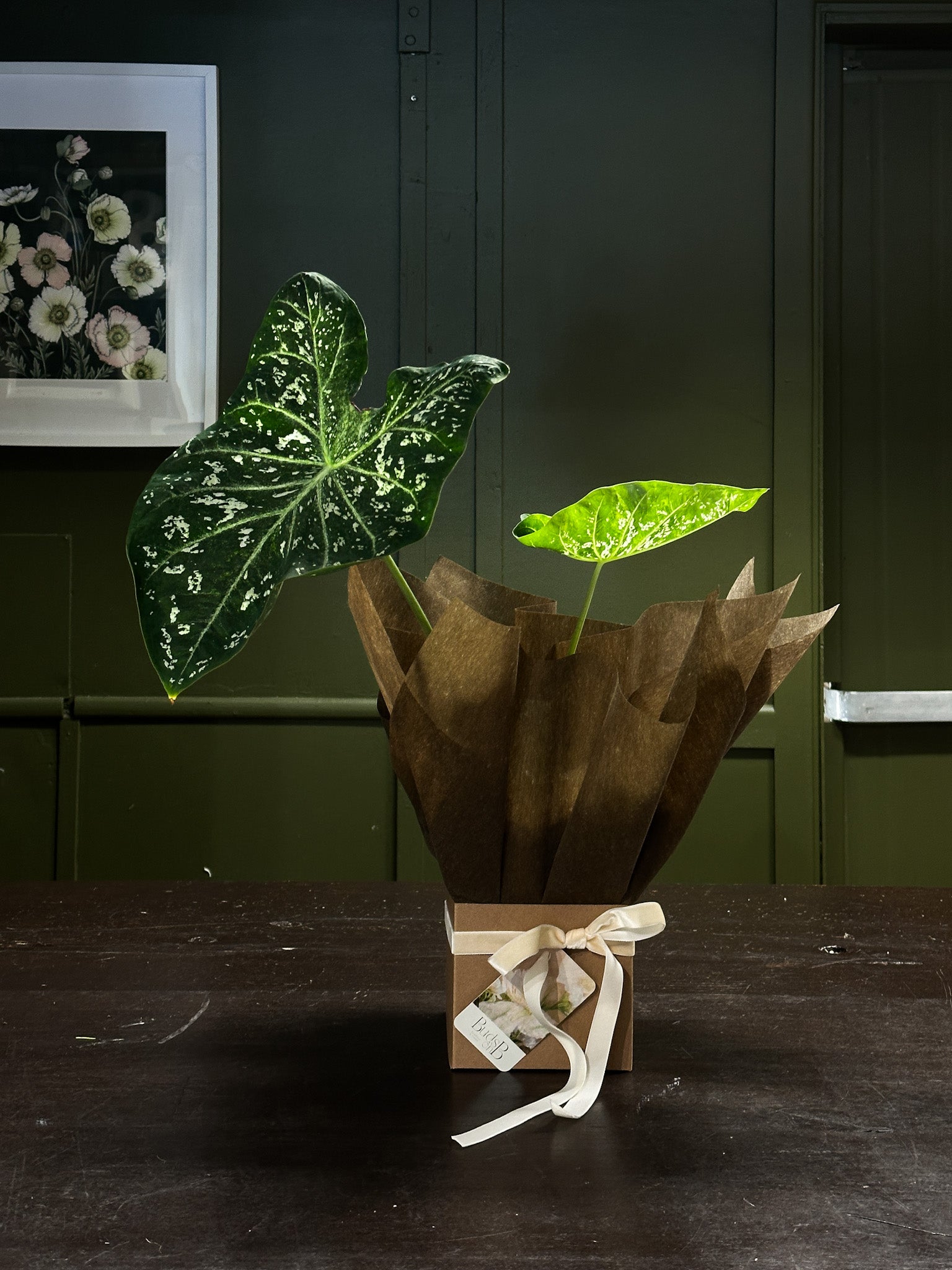 Buds on B, Buderim florist shop, Buderim gift shop, fresh flowers, flower vases, Sunshine Coast florist shop, Sunshine Coast local florist, florist near me, flower delivery, fresh flower delivery, flowers, vases for flowers, florist shop Sunshine Coast, vases, pots, chocolates, gifts, flower posy vase, Woombye florist shop, hinterland florist, Nambour florist, Palmwoods florist,Sunshine Coast flower shop, Sunshine Coast Florist, Sunshine Coast Flower delivery 