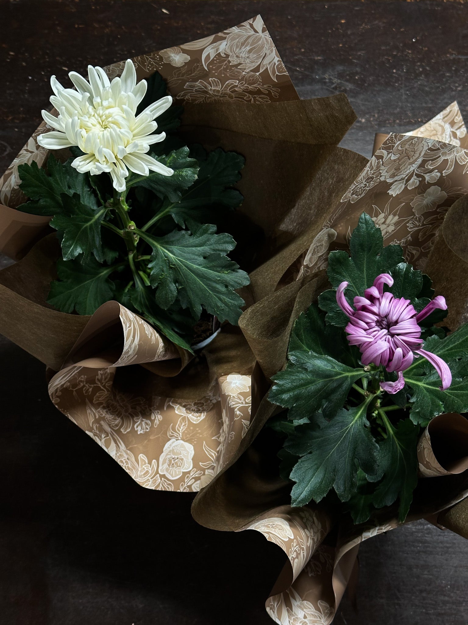 mothers day florist shop sunshine coast , mothers day flowers sunshine coast 