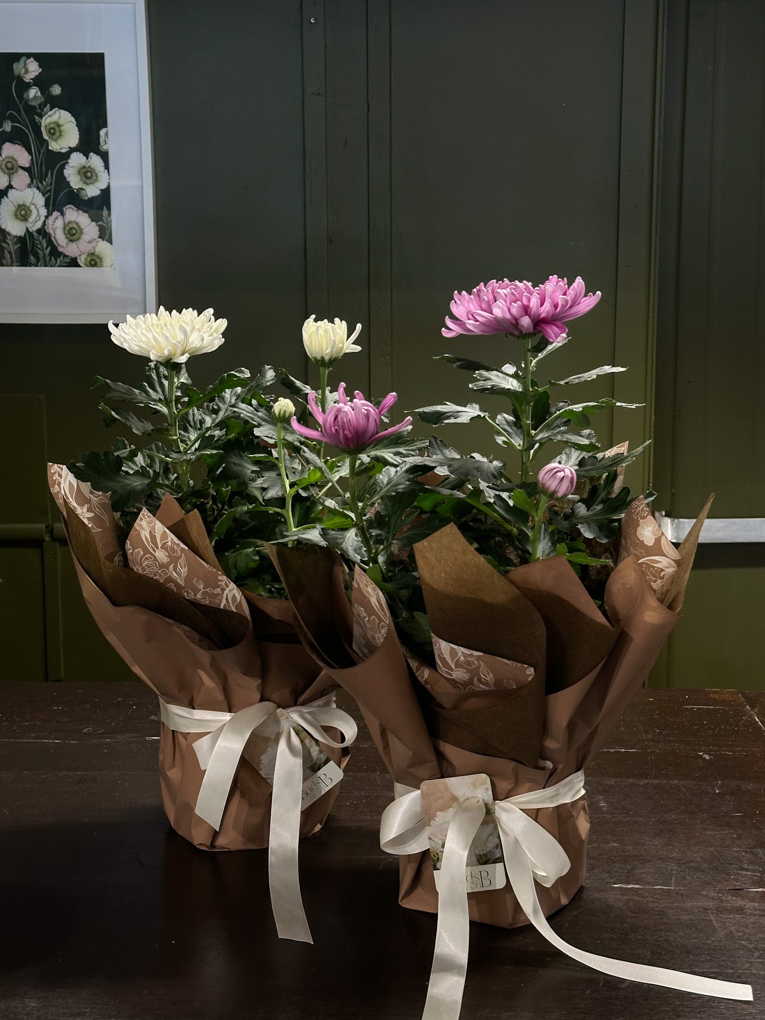mothers day florist shop sunshine coast , mothers day flowers sunshine coast 