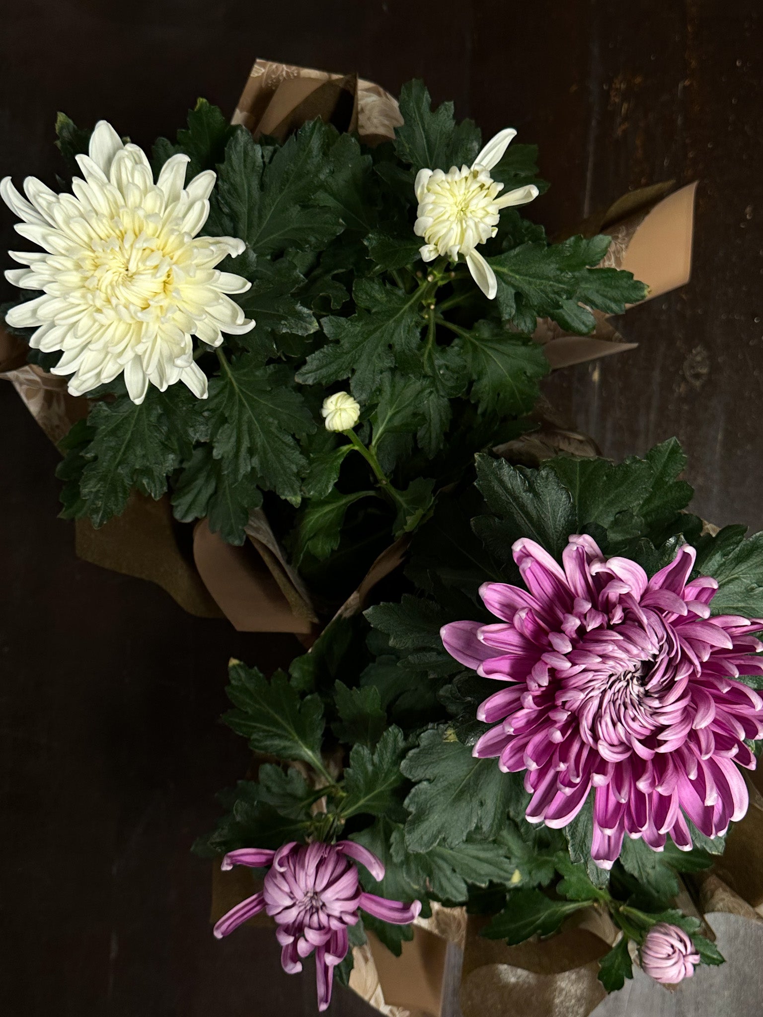 mothers day florist shop sunshine coast , mothers day flowers sunshine coast 