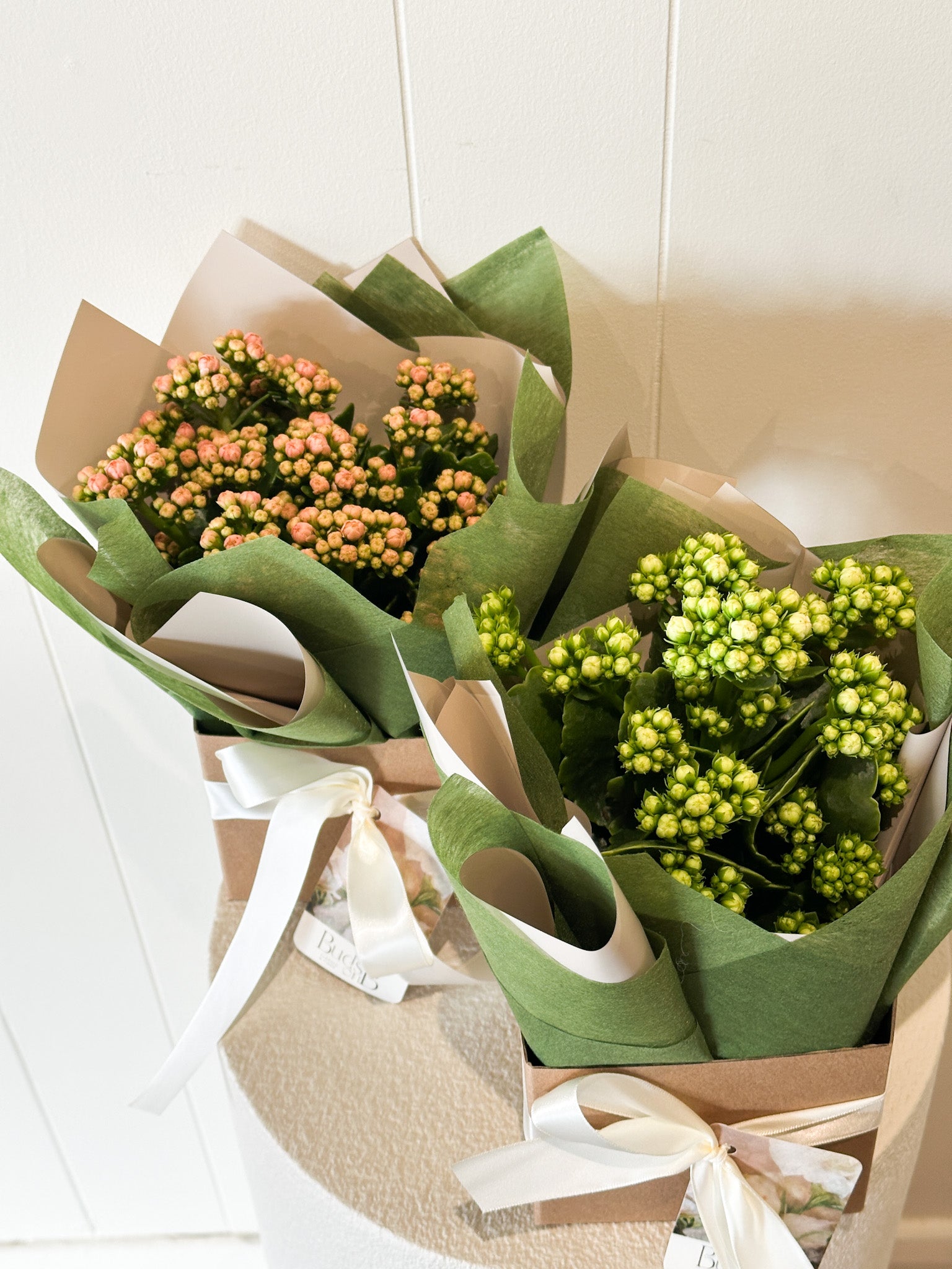 Buds on B, Buderim florist shop, Buderim gift shop, fresh flowers, flower vases, Sunshine Coast florist shop, Sunshine Coast local florist, florist near me, flower delivery, fresh flower delivery, flowers, vases for flowers, florist shop Sunshine Coast, vases, pots, chocolates, gifts, flower posy vase, Woombye florist shop, hinterland florist, Nambour florist, Palmwoods florist, ivy and wood candles and diffusers, Sunshine Coast flower shop, Sunshine Coast Florist, Sunshine Coast Flower delivery 