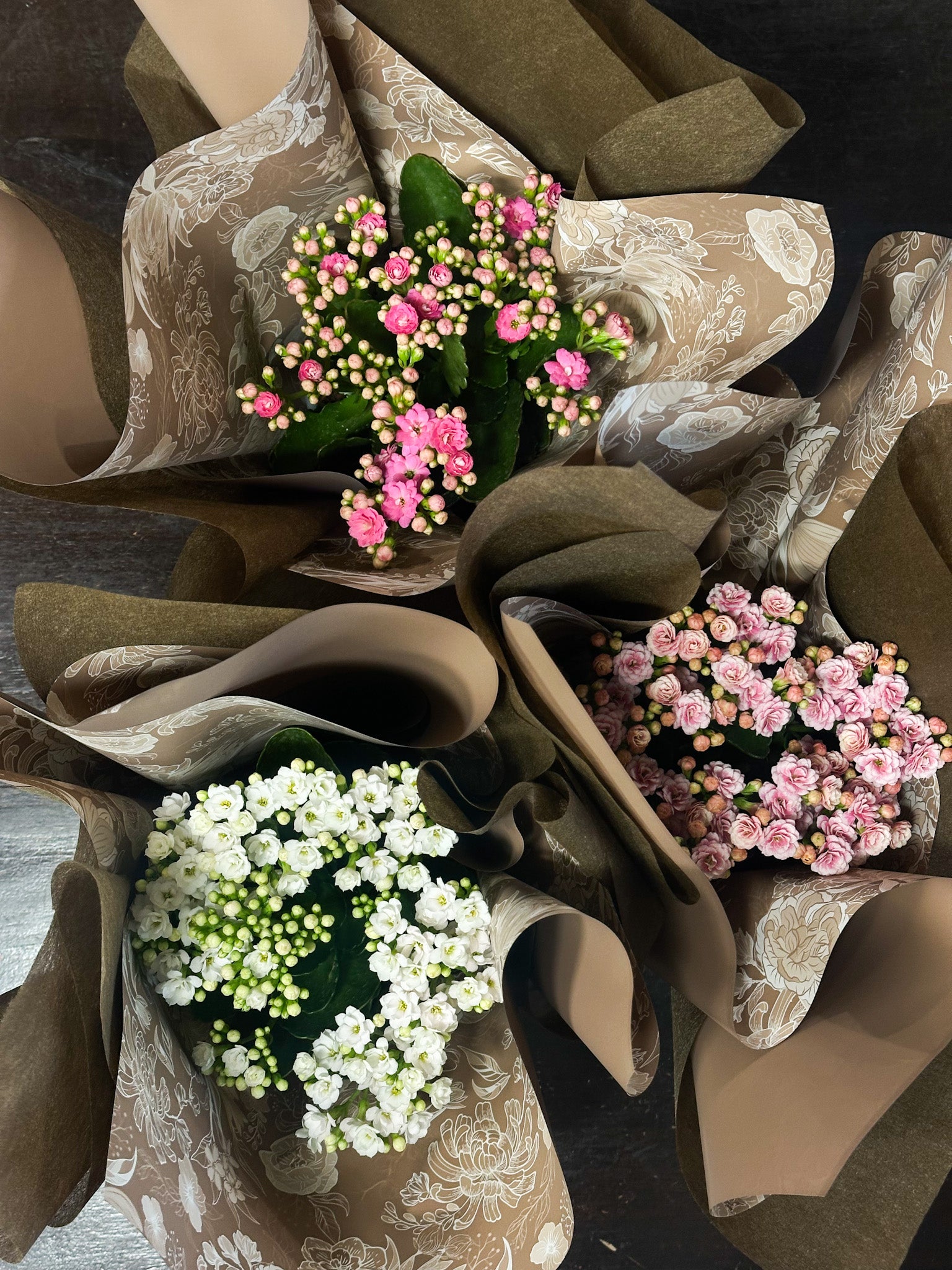 Mothers day florist shop, mothers day flower shop sunshine coast, mothers day plant gift sunshine coast 