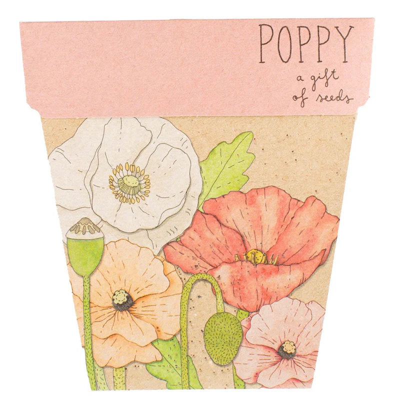 Sow 'n Sow Seed Cards